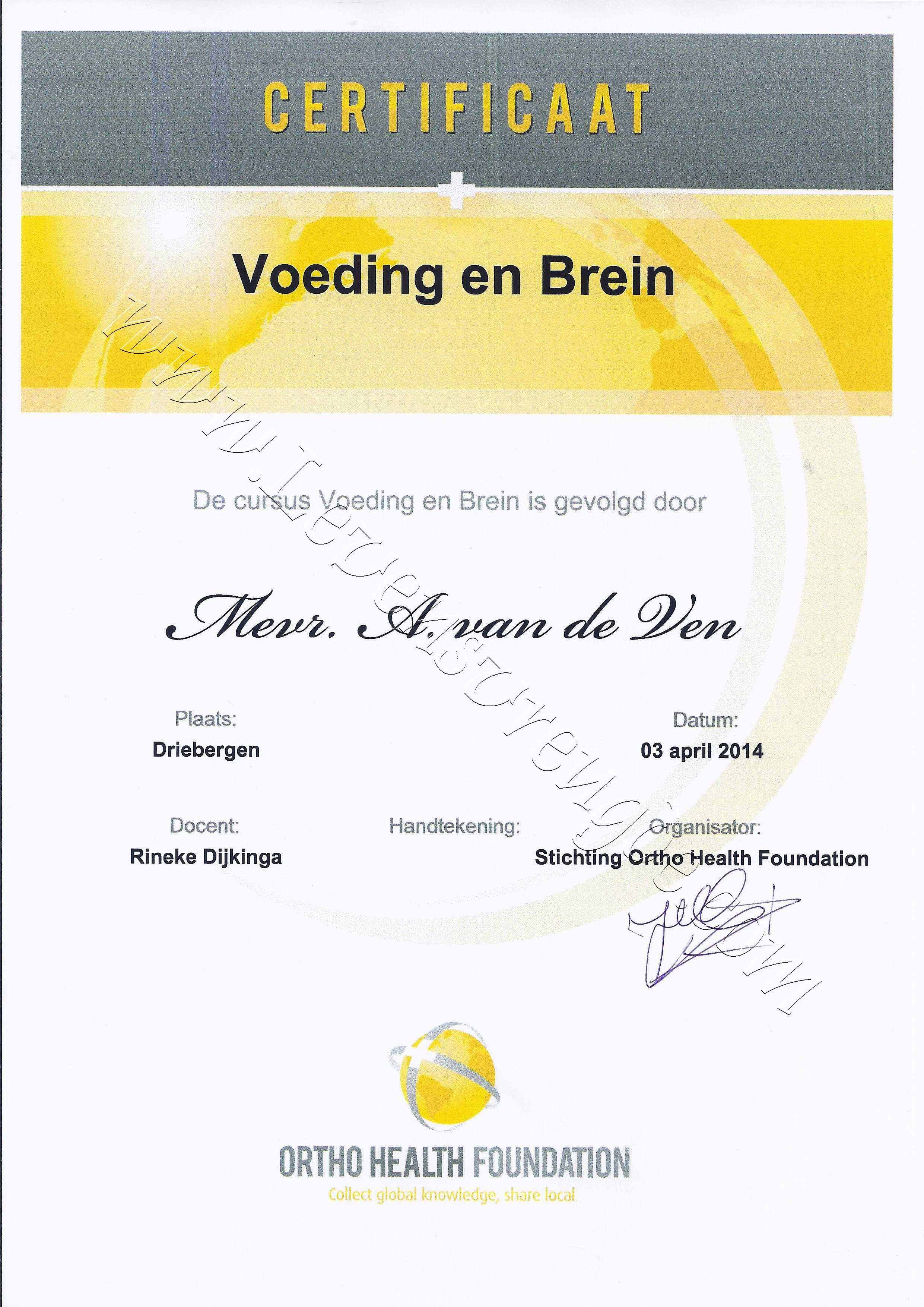 Voeding en Brein